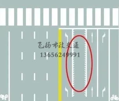 不懂這些交通標線？駕照12分都不夠扣的！